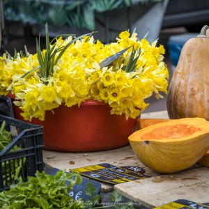 Marché de Billom avril 2024 by @NataFranceAuvergne-3622